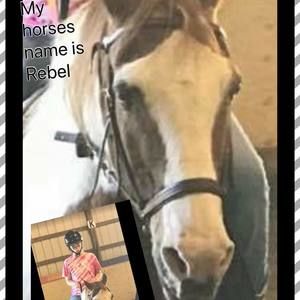 Meet your Posher, Taylor